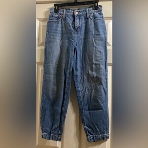 Banana Republic Barrel Jeans